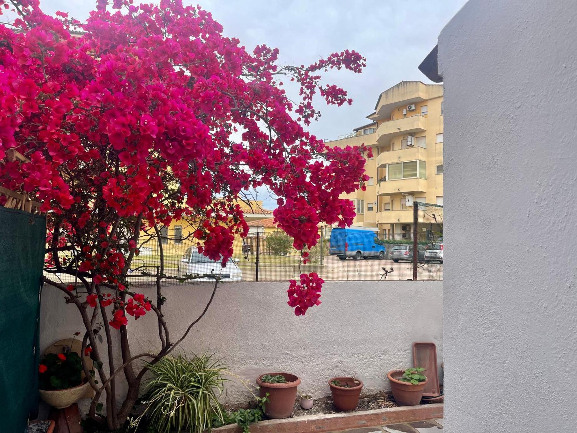 Le Calle Homes * Olbia