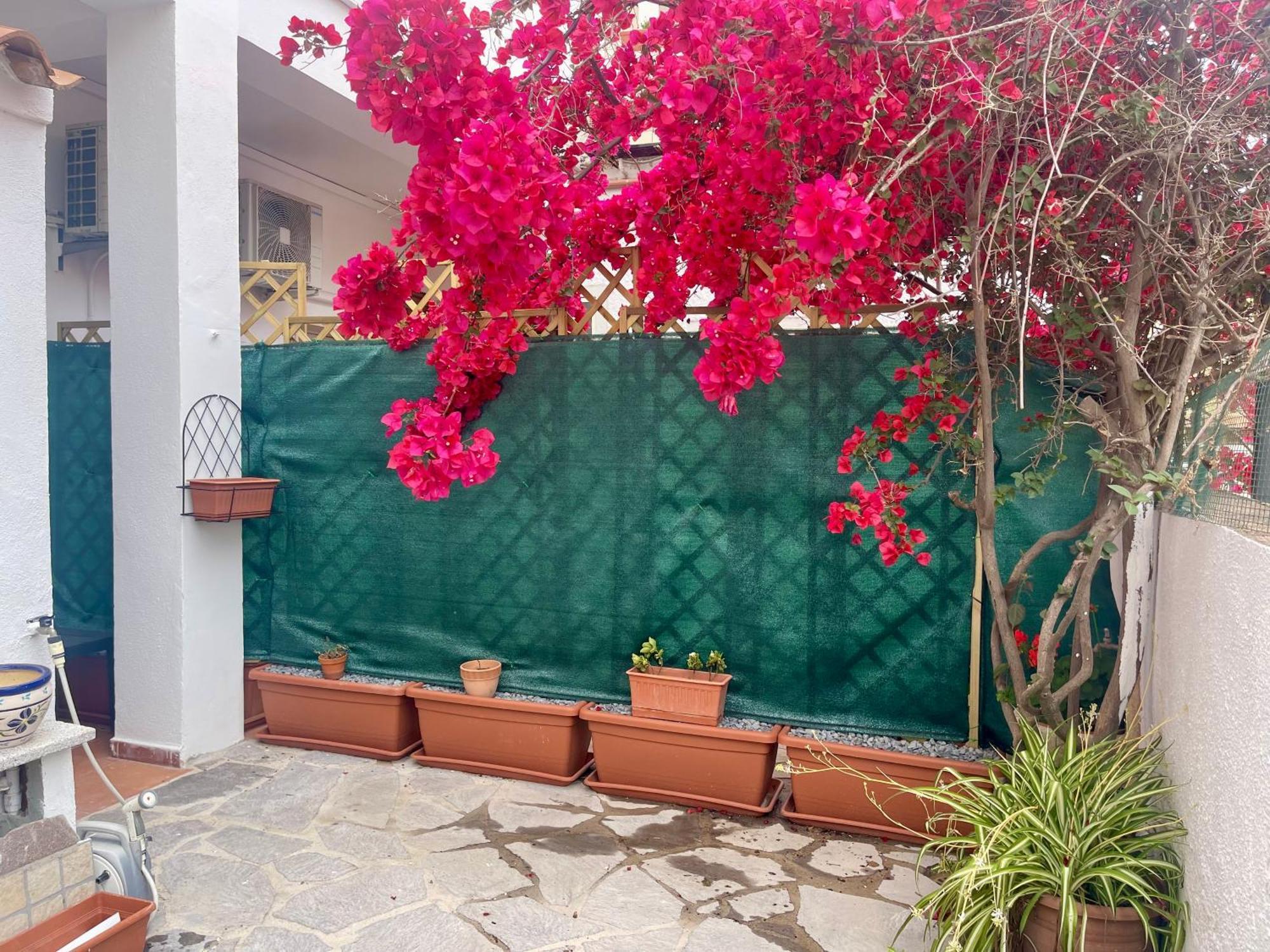 Le Calle Homes Olbia
