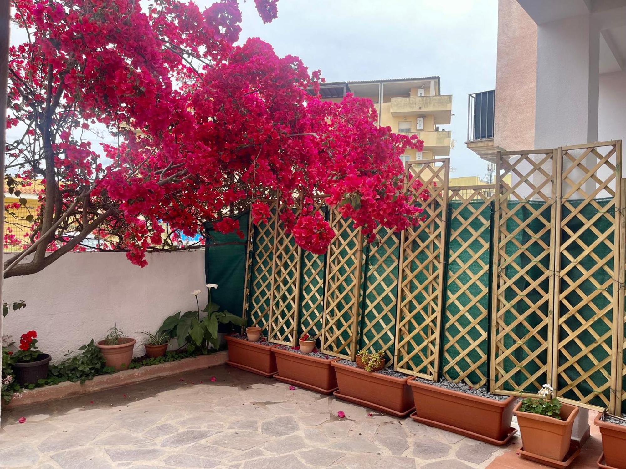 Le Calle Homes Olbia